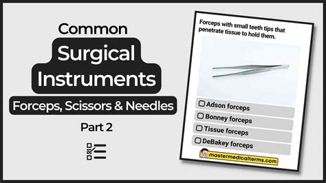 surgical tech flashcards|all surgical tech Flashcards